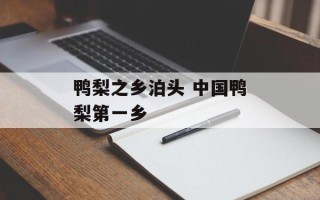 鸭梨之乡泊头 中国鸭梨第一乡