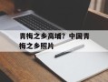 青梅之乡高埔？中国青梅之乡照片