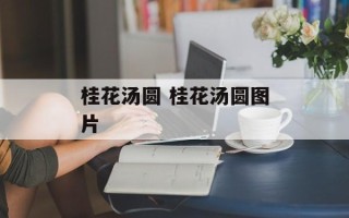 桂花汤圆 桂花汤圆图片