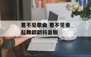 君不见歌曲 君不见妾起舞翩翩抖音版