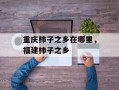 重庆柿子之乡在哪里，福建柿子之乡
