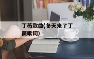 丁薇歌曲(冬天来了丁薇歌词)