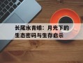 长尾水青蛾：月光下的生态密码与生存启示