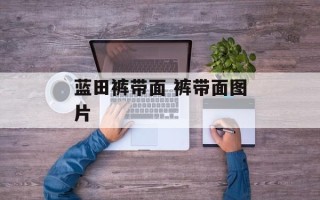 蓝田裤带面 裤带面图片