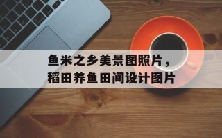 鱼米之乡美景图照片，稻田养鱼田间设计图片