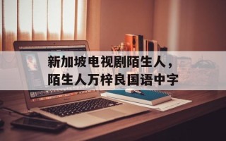 新加坡电视剧陌生人，陌生人万梓良国语中字