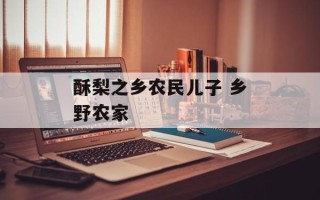 酥梨之乡农民儿子 乡野农家