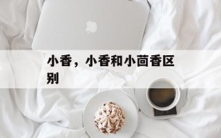 小香，小香和小茴香区别