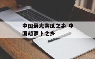 中国最大黄瓜之乡 中国胡萝卜之乡