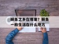 鳜鱼之乡在哪里？鳜鱼一般生活在什么地方