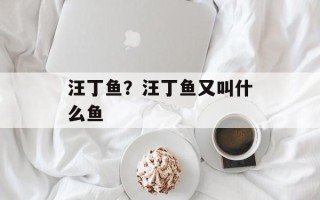 汪丁鱼？汪丁鱼又叫什么鱼