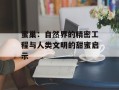 蜜巢：自然界的精密工程与人类文明的甜蜜启示