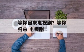 等你回来电视剧？等你归来 电视剧