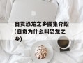 自贡恐龙之乡图集介绍(自贡为什么叫恐龙之乡)