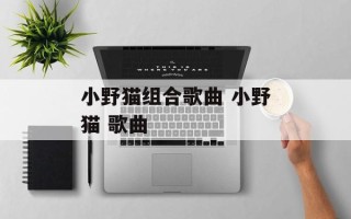 小野猫组合歌曲 小野猫 歌曲