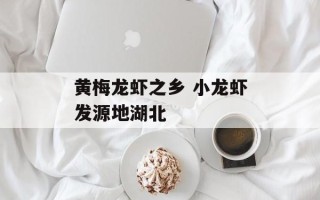 黄梅龙虾之乡 小龙虾发源地湖北