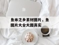 鱼米之乡素材图片，鱼图片大全大图真实