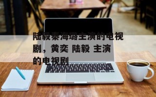 陆毅秦海璐主演的电视剧，黄奕 陆毅 主演的电视剧