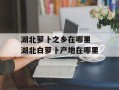 湖北萝卜之乡在哪里 湖北白萝卜产地在哪里