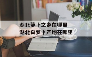 湖北萝卜之乡在哪里 湖北白萝卜产地在哪里