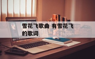 雪花飞歌曲 有雪花飞的歌词