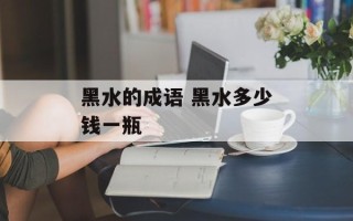 黑水的成语 黑水多少钱一瓶