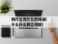 鹤什么鸡什么的成语(什么什么鹤立鸡群)