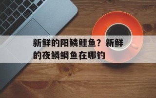 新鲜的阳鳞鲑鱼？新鲜的夜鳞鲷鱼在哪钓