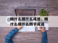 精什么细什么成语，精什么细什么四字成语