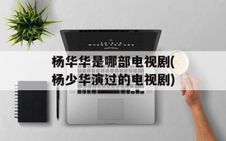 杨华华是哪部电视剧(杨少华演过的电视剧)