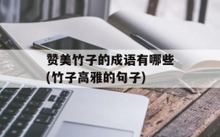 赞美竹子的成语有哪些(竹子高雅的句子)