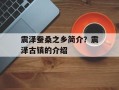 震泽蚕桑之乡简介？震泽古镇的介绍