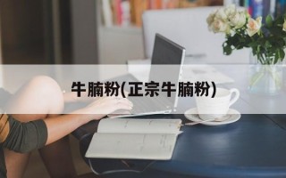 牛腩粉(正宗牛腩粉)