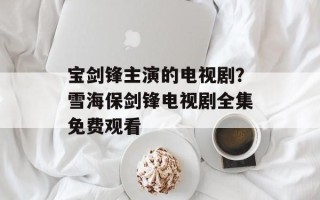 宝剑锋主演的电视剧？雪海保剑锋电视剧全集免费观看