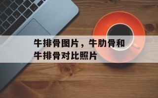 牛排骨图片，牛肋骨和牛排骨对比照片