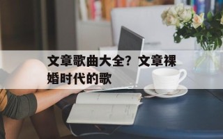 文章歌曲大全？文章裸婚时代的歌