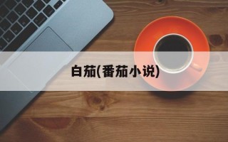 白茄(番茄小说)
