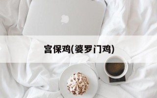 宫保鸡(婆罗门鸡)
