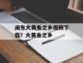 闽东大黄鱼之乡视频下载？大黄鱼之乡