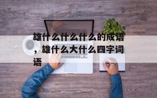 雄什么什么什么的成语，雄什么大什么四字词语