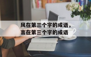 风在第三个字的成语，言在第三个字的成语