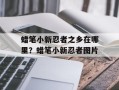 蜡笔小新忍者之乡在哪里？蜡笔小新忍者图片