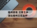 随州素有 兰草之乡 湖北随州兰花品种