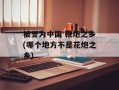 被誉为中国 鞭炮之乡(哪个地方不是花炮之乡)