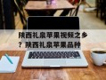陕西礼泉苹果视频之乡？陕西礼泉苹果品种