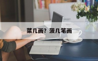 菜几画？菠几笔画