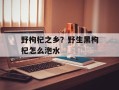 野枸杞之乡？野生黑枸杞怎么泡水