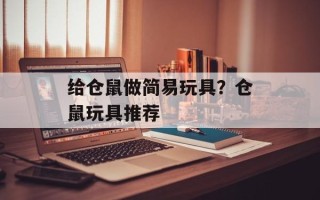 给仓鼠做简易玩具？仓鼠玩具推荐