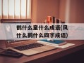 鹤什么童什么成语(风什么鹤什么四字成语)
