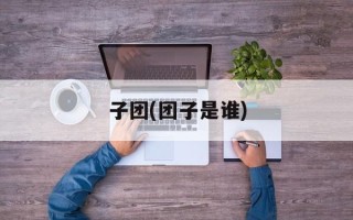 子团(团子是谁)